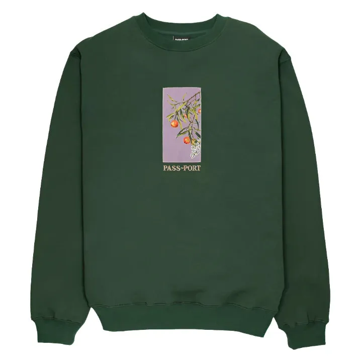 Quandong CrewNeck | Forest Green