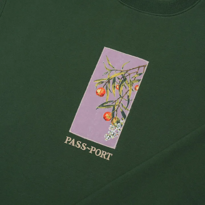 Quandong CrewNeck | Forest Green